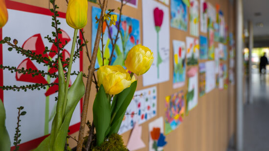 Masarykův onkologický ústav zaplavily květiny, probíhá Tulipánový měsíc